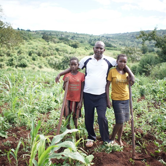 Fält med odlingar i Mocambique.