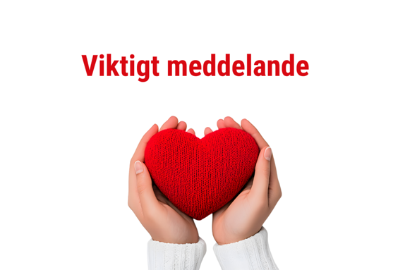 a hand holding a heart