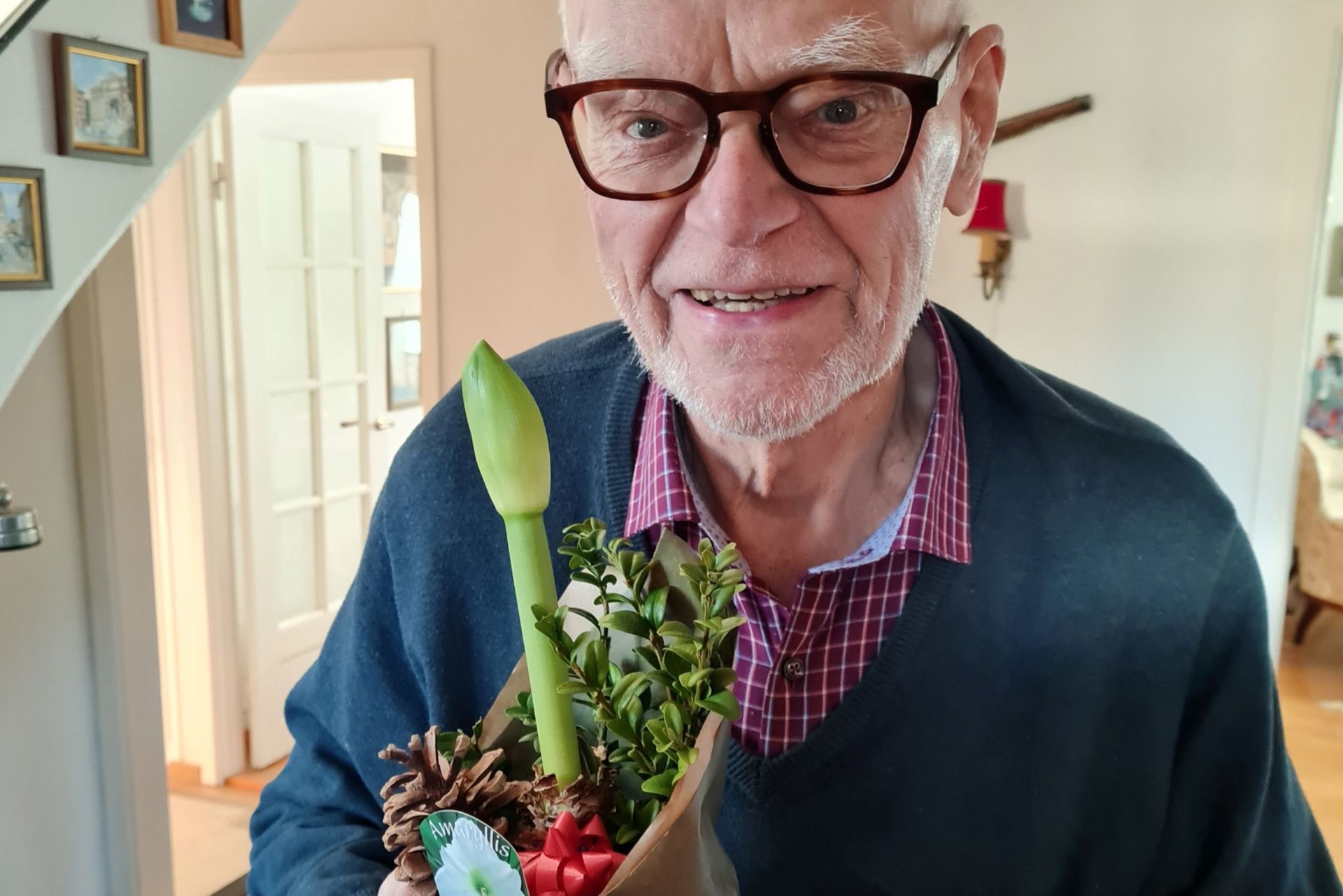 man med amaryllis