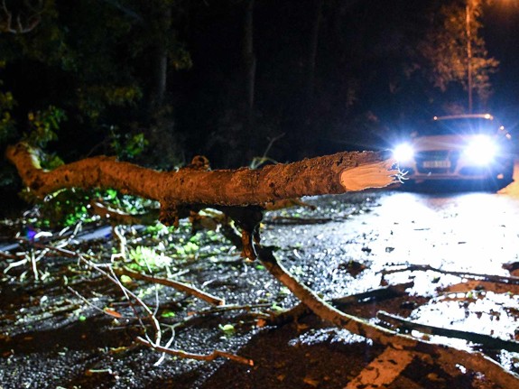 Nedblåsta träd på mörk bilväg