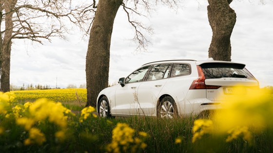 Bil med gula blommor framför