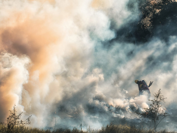 Skogsbrand med stort rökmoln