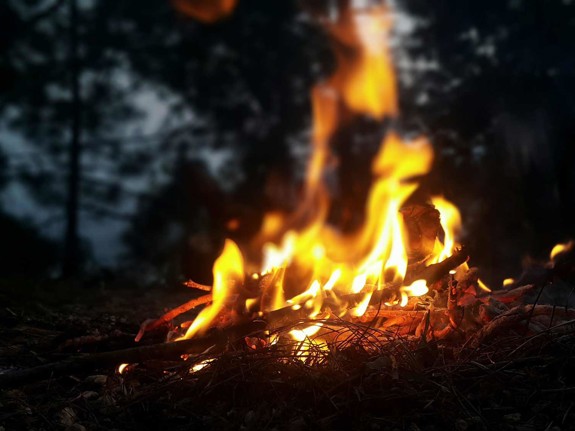 Eld i naturen