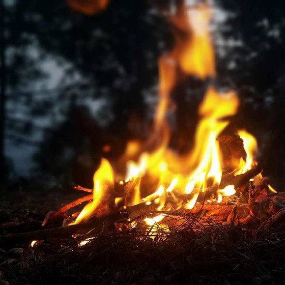 Eld i naturen