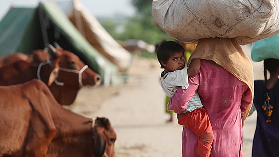 Mamma och barn på flykt undan torka i Namibia.