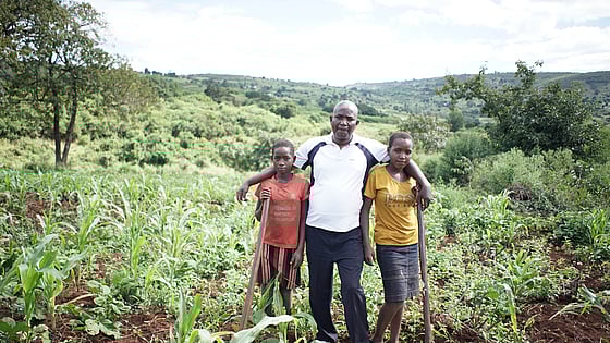 Fält med odlingar i Mocambique.