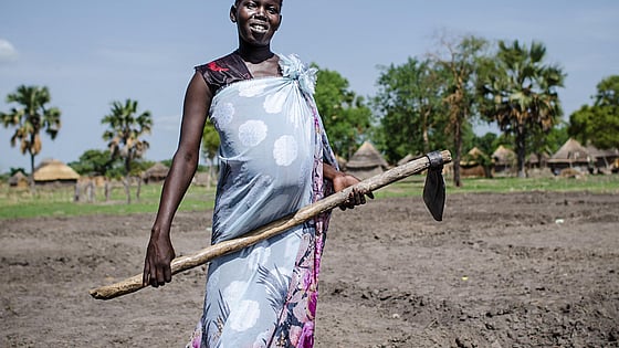 Gravida Angong odlar olika grödor för att få mat till sin familj efter torkan.