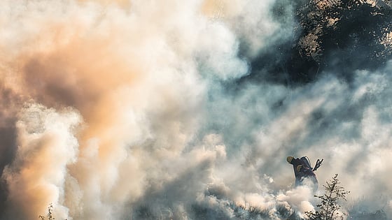 Rökmoln sprider sig under skogsbrand