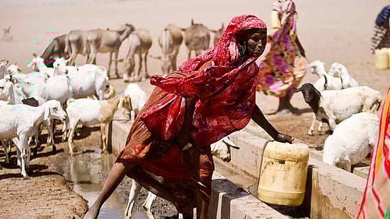 Rödklädd kvinna hämtar vatten vid torka i Kenya