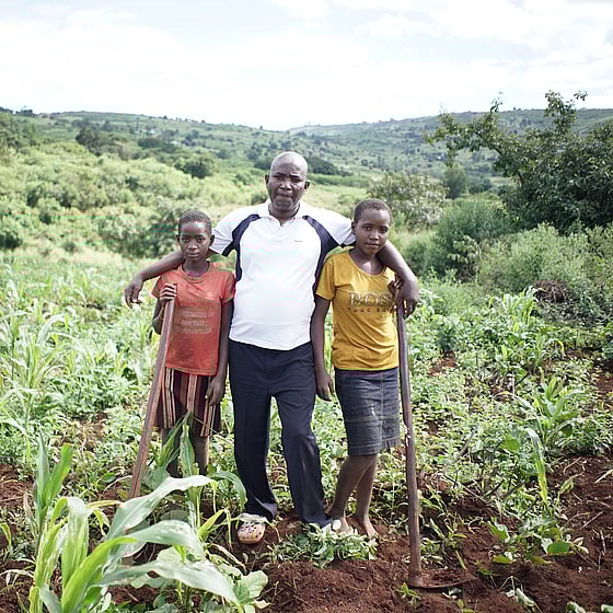 Fält med odlingar i Mocambique.