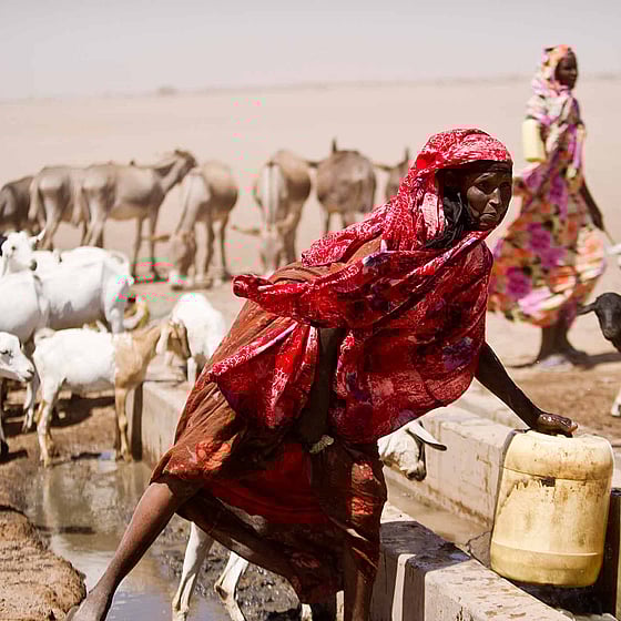 Rödklädd kvinna hämtar vatten vid torka i Kenya