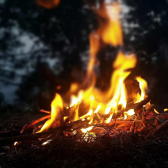 Eld i naturen