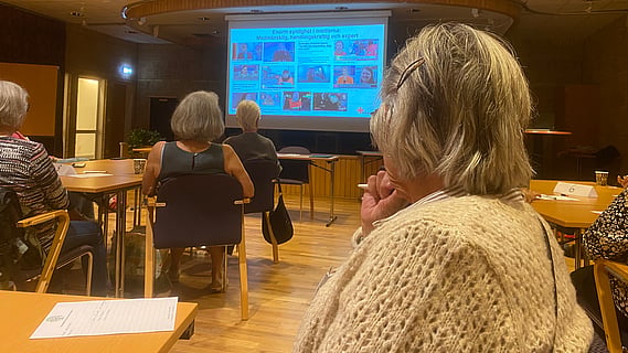 Deltagare tittar på bildspel