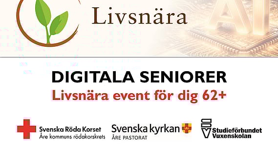 Digitala Seniorer
