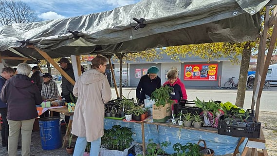 Sösdala vårmarknad