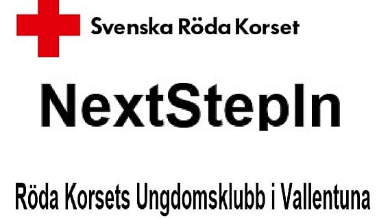 nsi