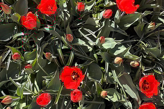 Avvikande öppettider