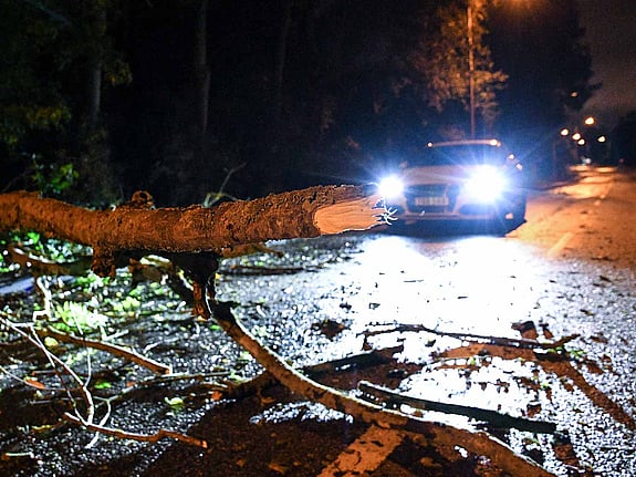 Nedblåsta träd på mörk bilväg