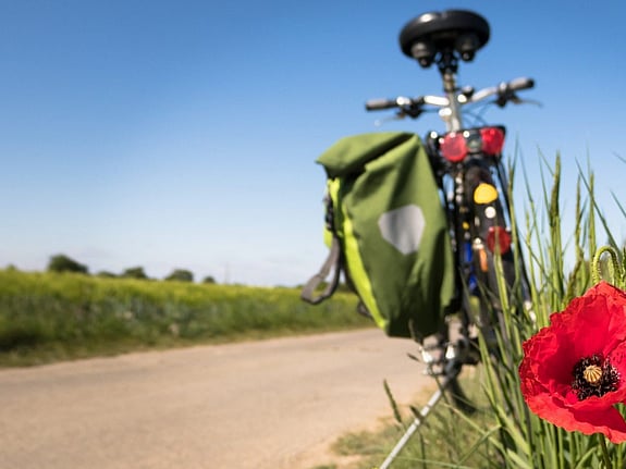 En bild på en cykel