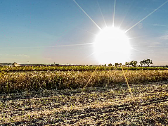 Sol och värme på sommarfält