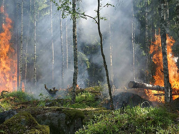 Skogsbrand i Sverige