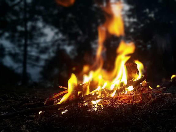 Eld i naturen