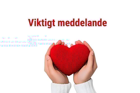 a hand holding a heart