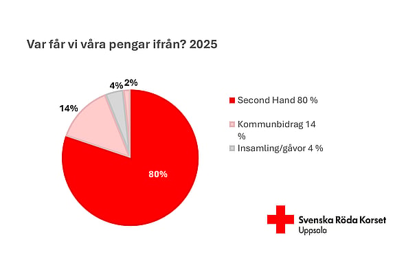 Cirkeldiagram över intäkter