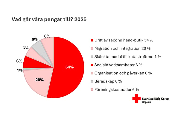 Graf: Vad går våra pengar till?