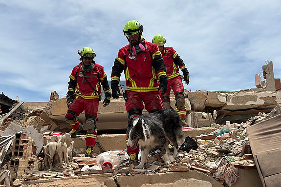 Mexikanska Röda Korset har skickat ett specialtränat USAR-team (Urbans sök och räddning) tillsammans med sina berömda sökhundar – däribland bordercollies som Balam och Orly. De flög nyligen till Venezuela för att hjälpa till i de värst drabbade områden.