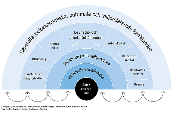 En graf av hälsans benämningsfaktorer