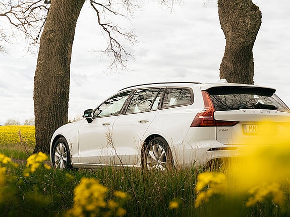 En bil med gula blommor i förgrunden