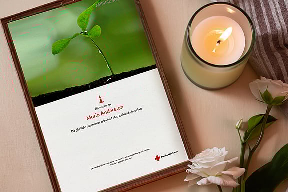 Gåvobevis med gerbera